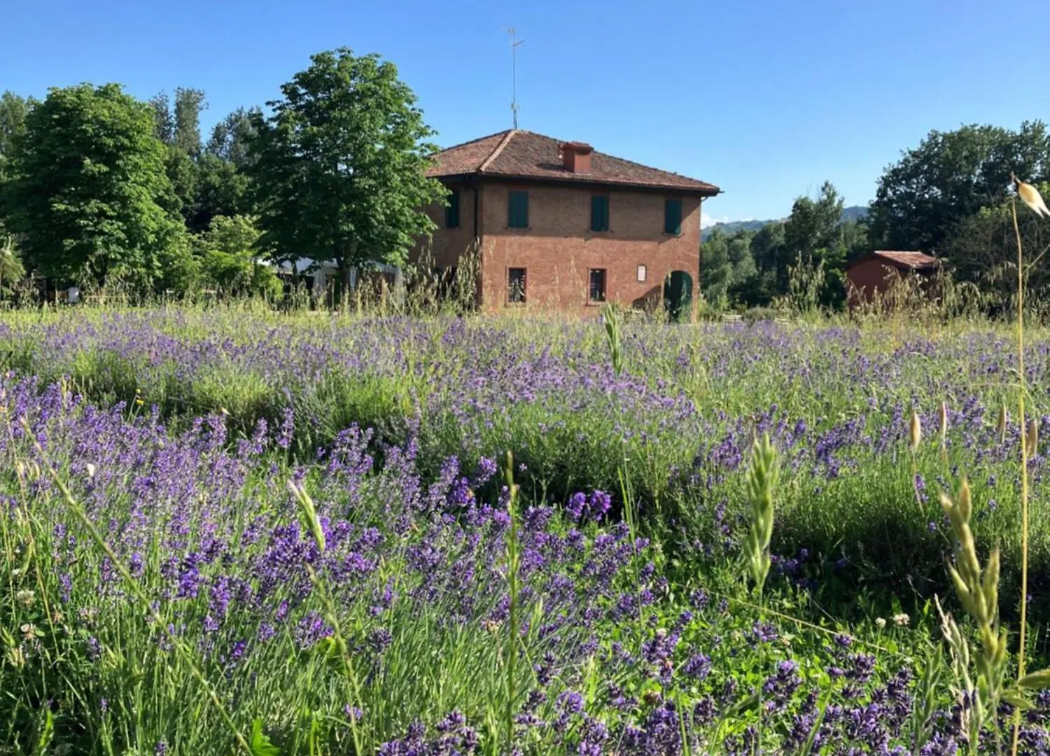 Agriturismo Parco Della Chiusa Casalecchio Di Reno